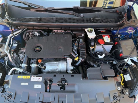Peugeot 308 SW BlueHDI 100 Business Line 75 kW (100 CV)