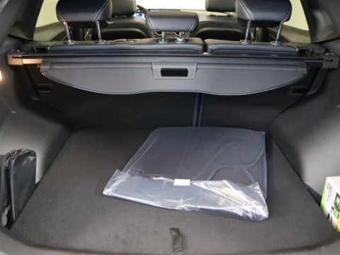 EVO6 todoterreno 1.5 TURBO LPG DCT 5P