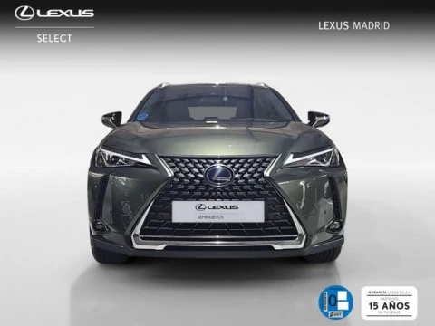 Lexus UX 300e Business