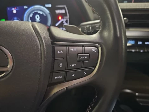 Lexus UX 300e Business