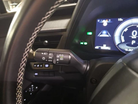 Lexus UX 300e Business