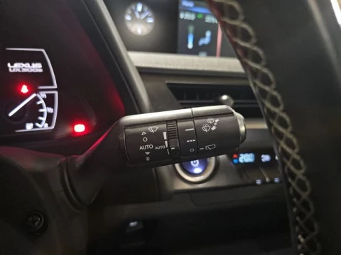 Lexus UX 300e Business
