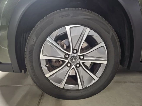 Lexus UX 300e Business