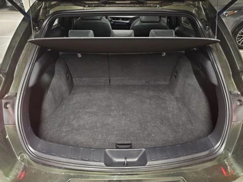 Lexus UX 300e Business