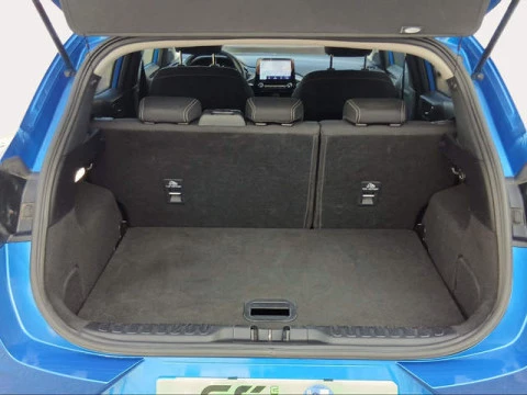 Ford Puma 1.0 EcoBoost MHEV Titanium 92 kW (125 CV)