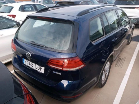 Volkswagen Golf Business 1.5 TSI 96kW (130CV) Variant