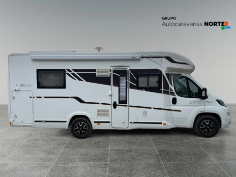 BENIMAR MILEO MILEO 294