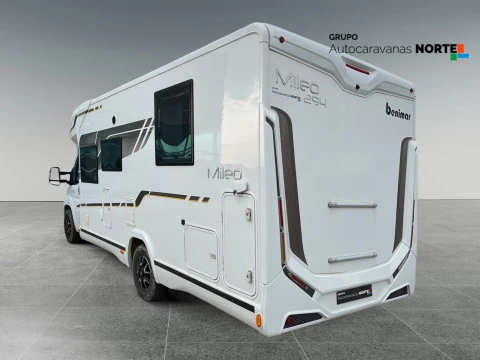 BENIMAR MILEO MILEO 294