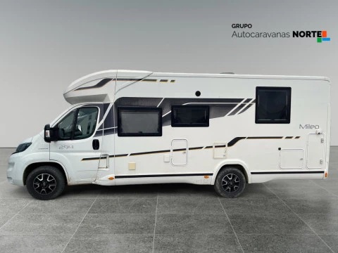 BENIMAR MILEO MILEO 294