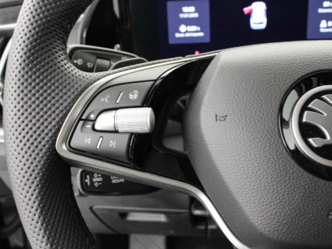 Skoda Kodiaq Selection 2,0 TDI 110 kW (150 CV) DSG 7 vel.