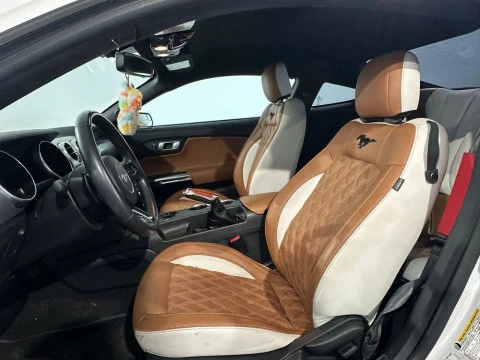 Ford Mustang 5.0 GT 325KW 442CV