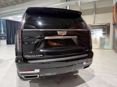 Cadillac Escalade Platinum Luxury ESV 