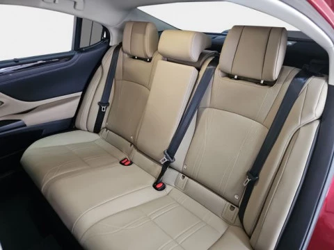 Lexus ES 2.5 300h Luxury D-View