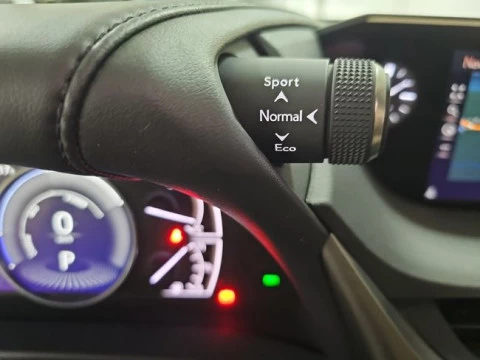 Lexus ES 2.5 300h Luxury D-View