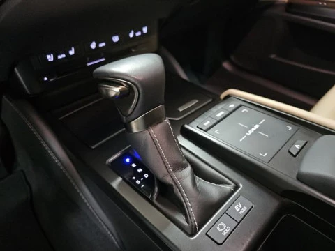 Lexus ES 2.5 300h Luxury D-View