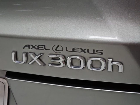 Lexus UX 2.0 300h UX Plus