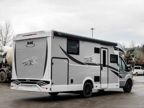 MCLOUIS YEARLING YEARLING 81