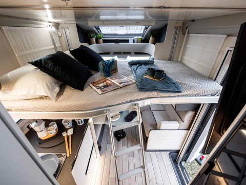 MCLOUIS YEARLING YEARLING 81