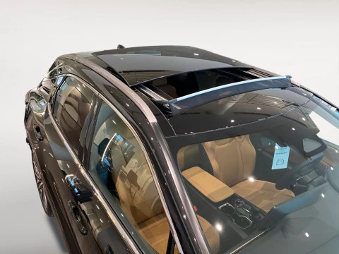 Lexus RX 450h+ Executive