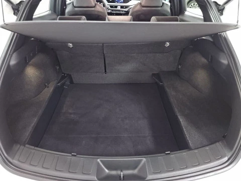 Lexus UX 2.0 250h Premium