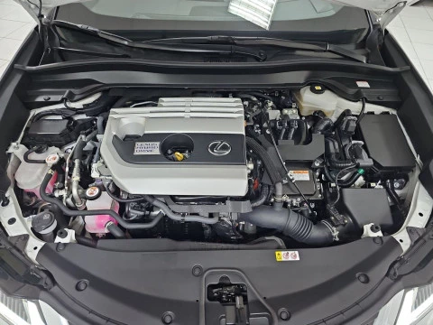 Lexus UX 2.0 250h Premium