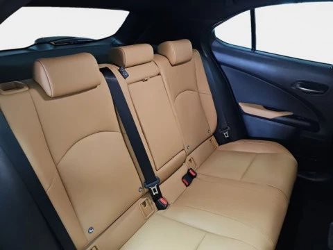 Lexus UX 2.0 300h F Sport