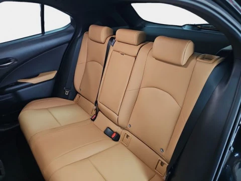Lexus UX 2.0 300h F Sport