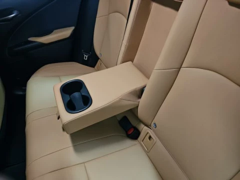 Lexus UX 2.0 300h F Sport