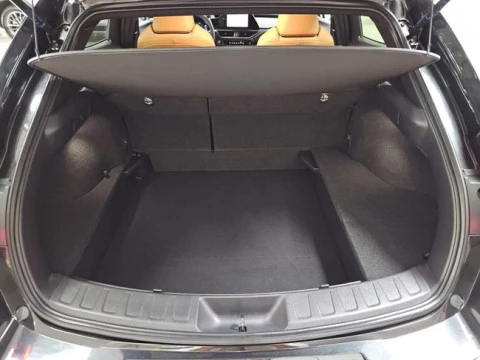 Lexus UX 2.0 300h F Sport