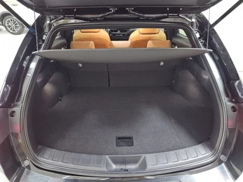 Lexus UX 2.0 300h F Sport