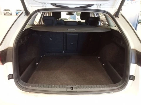 Skoda Octavia Combi 1.0 TSI 81kW(110CV) DSG mHEV Ambi.