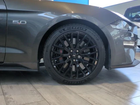 Ford Mustang 5.0 Ti-VCT V8 331kW Mustang GT (Fastb.)