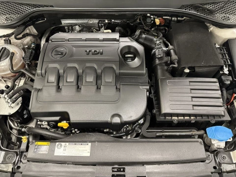 Seat Leon 1.6 TDI SANDS Style 77 kW (105 CV)