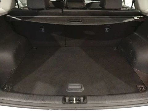 Kia e-Niro e-Niro 100kW (136CV) Concept