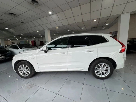 Volvo XC60 Business Plus T8 Twin AWD