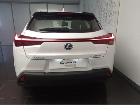 Lexus UX SUV BUSINESS 2.0 L Híbrido (2WD)