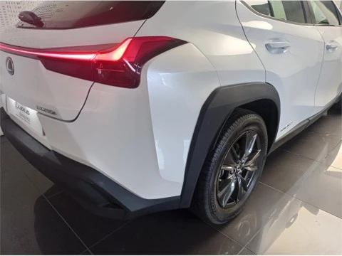 Lexus UX SUV BUSINESS 2.0 L Híbrido (2WD)