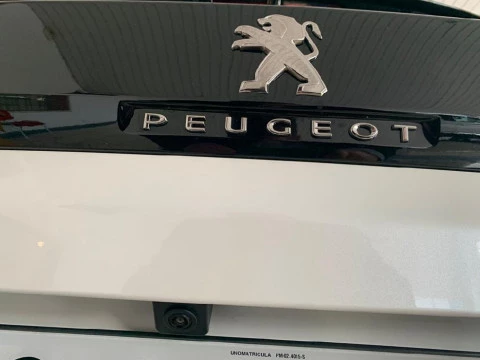 Peugeot 3008 ALP BH 130 MAN