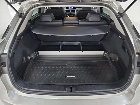 Lexus RX 450h Business