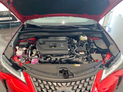 Lexus UX 2.0 300h UX Plus
