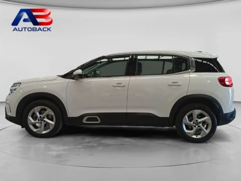 Citroën C5 Aircross BlueHdi 96kW (130CV) S&S Live Pack