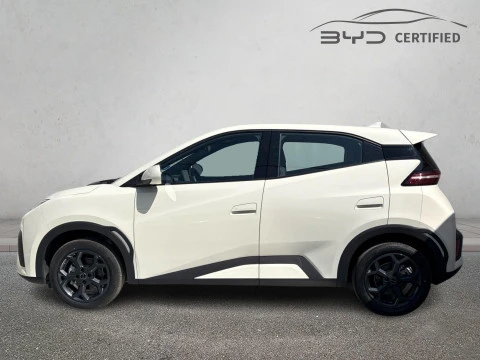 BYD DOLPHIN SURF Boost