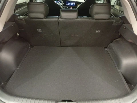 Kia e-Niro e-Niro 150kW (204CV) Drive (Long Range)