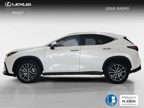 Lexus NX 450h+ Executive 4WD