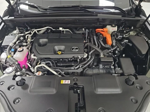 Lexus NX 450h+ Executive 4WD