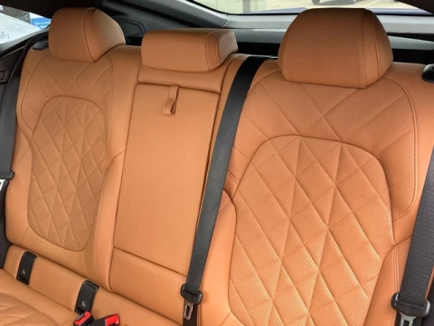 BMW X6 M50i 390 kW (530 CV)