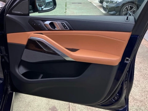 BMW X6 M50i 390 kW (530 CV)