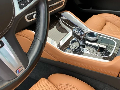 BMW X6 M50i 390 kW (530 CV)