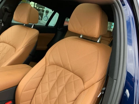 BMW X6 M50i 390 kW (530 CV)