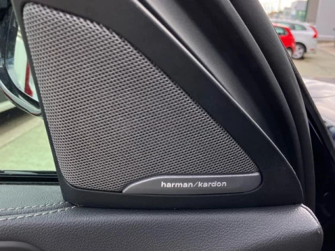 BMW X6 M50i 390 kW (530 CV)